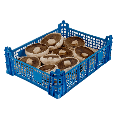 MAP Bags for Open Cap Mushroom