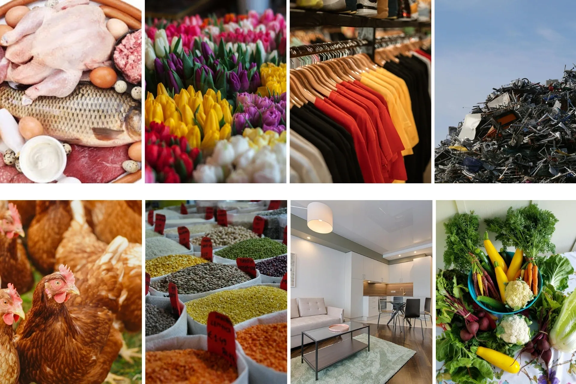 TradeWave International cover image